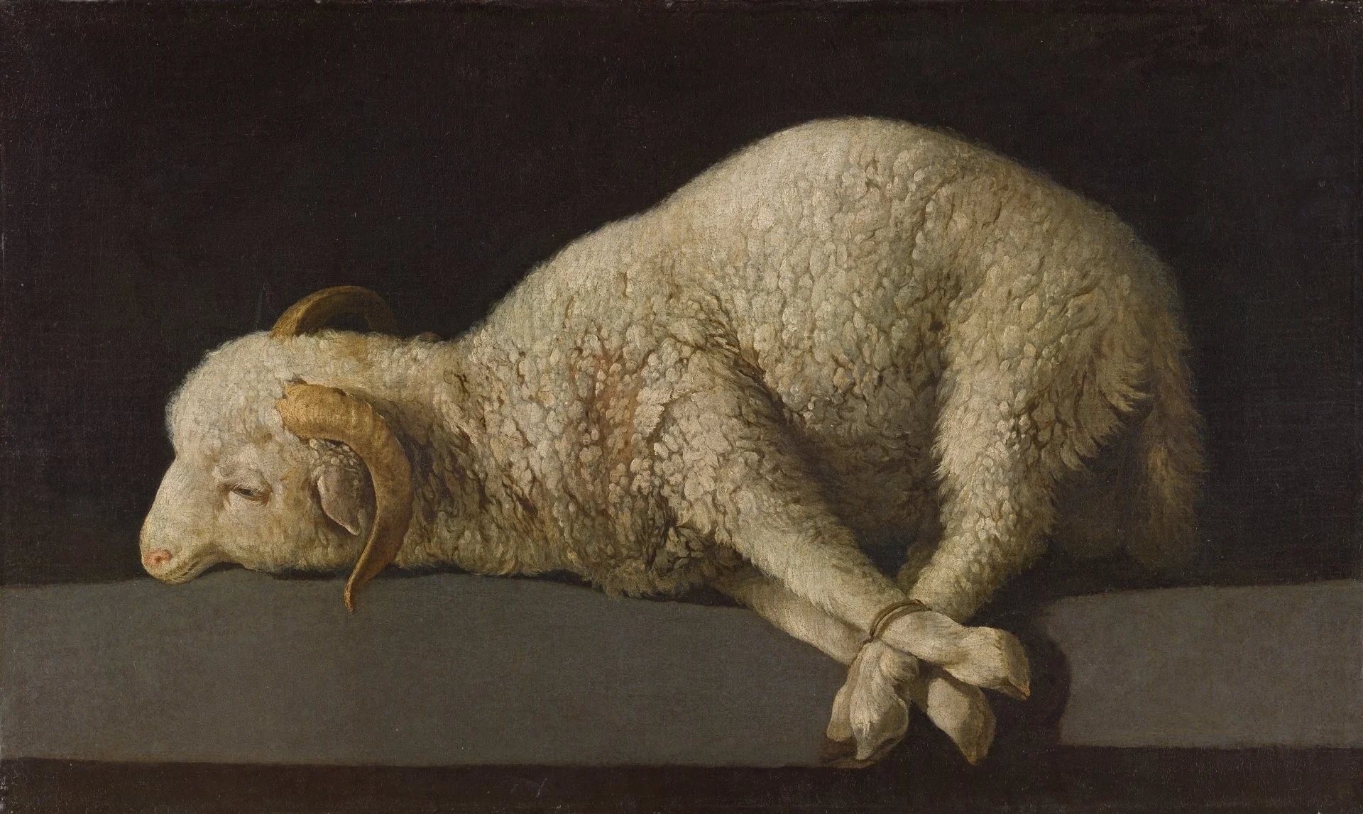 The Lamb of God — ediblegardens52
